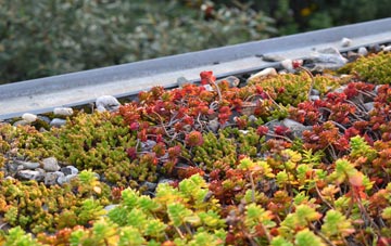 the cost of Slapewath green roof installation