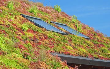 Slapewath living roof systems